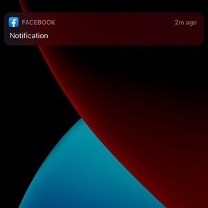 Meet your Posher, Talia